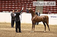 09buck-4044 proof