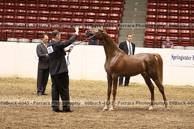Proof 09buck-4045