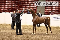 09buck-4045 proof