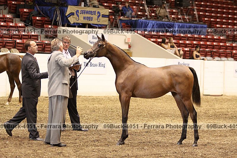 Proof 09buck-4051