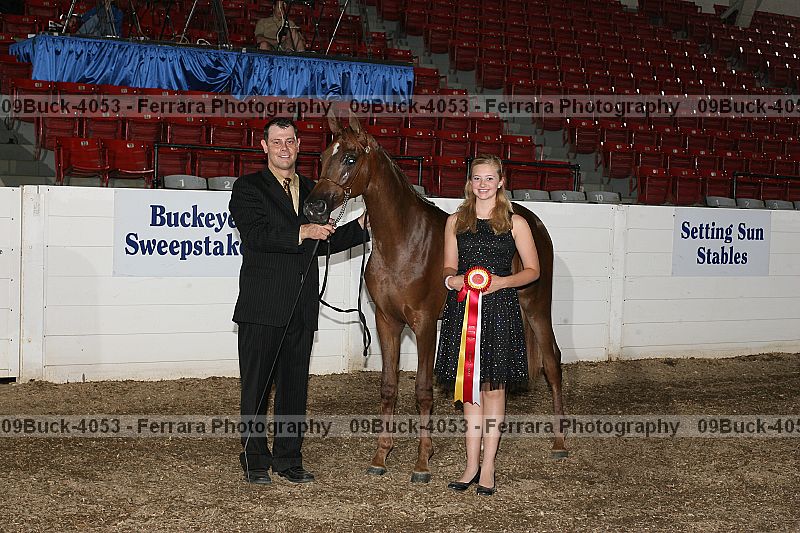 Proof 09buck-4053