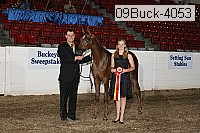 09buck-4053 proof