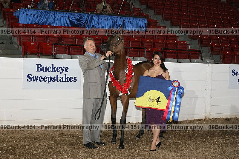 Proof 09buck-4054