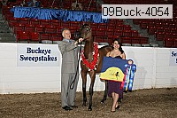 09buck-4054 proof
