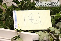 09buck-4055 proof