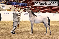 09buck-4059 proof