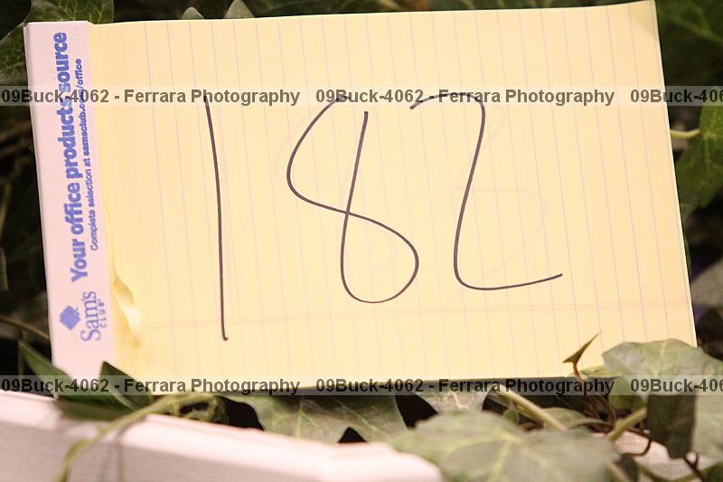 Proof 09buck-4062