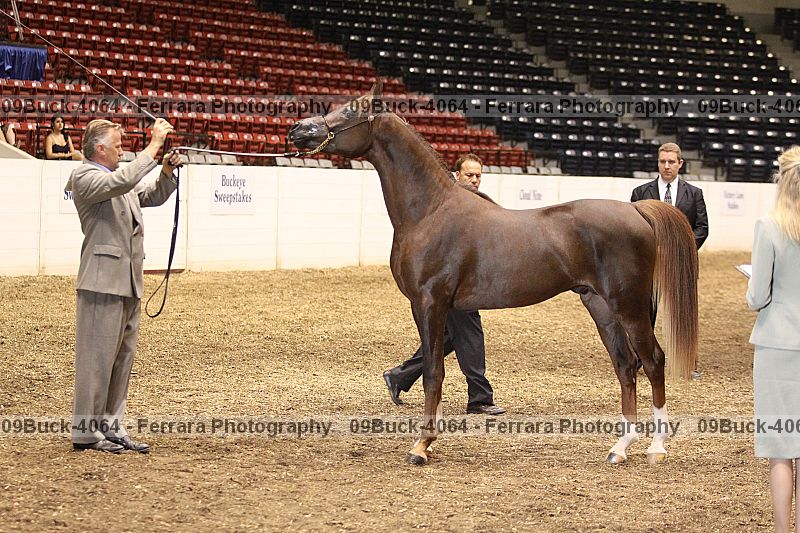 Proof 09buck-4064