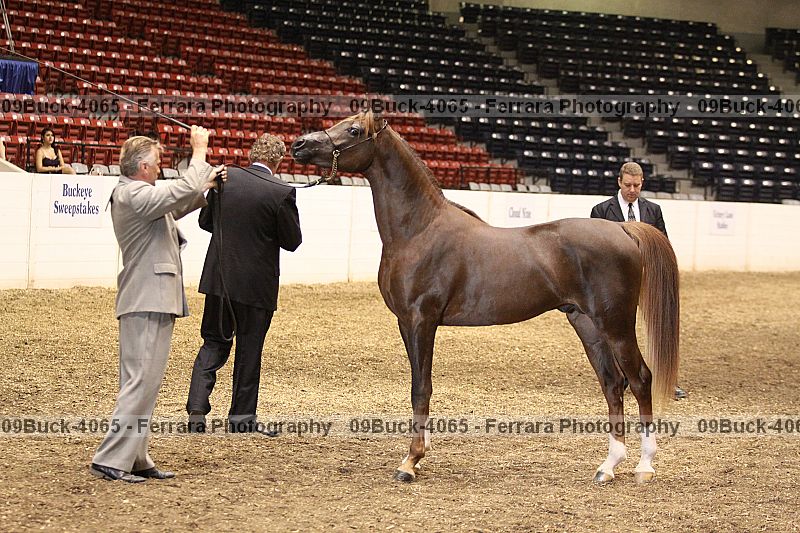 Proof 09buck-4065