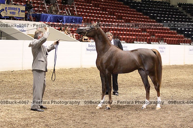 Proof 09buck-4067