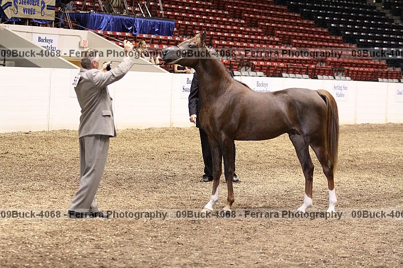 Proof 09buck-4068