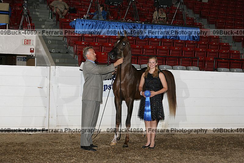 Proof 09buck-4069