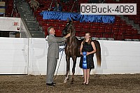 09buck-4069 proof