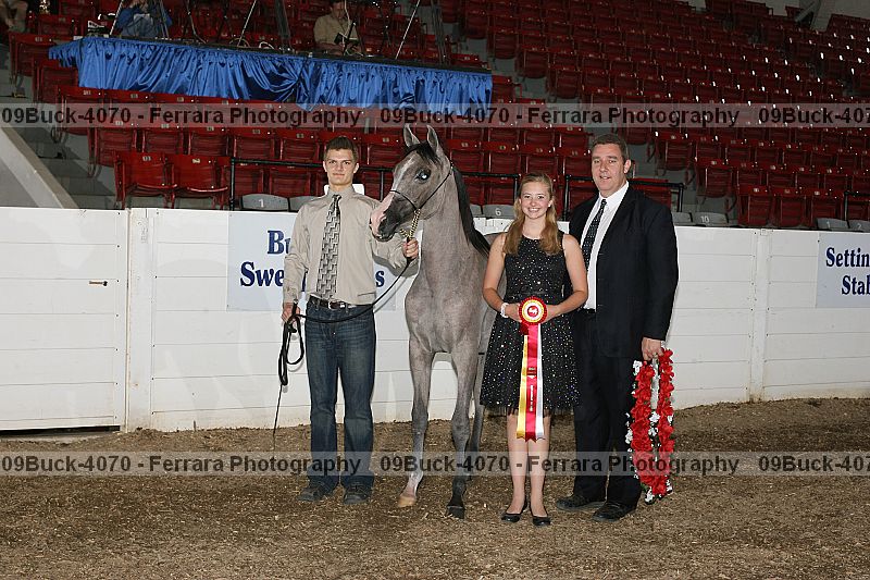 Proof 09buck-4070