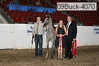09buck-4070 proof