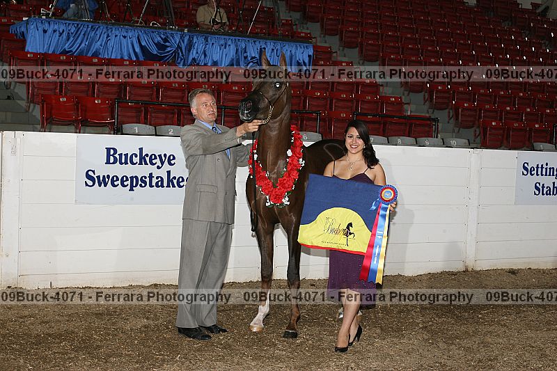 Proof 09buck-4071