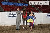 09buck-4071 proof
