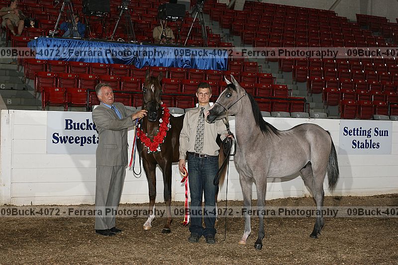 Proof 09buck-4072