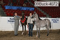 09buck-4072 proof