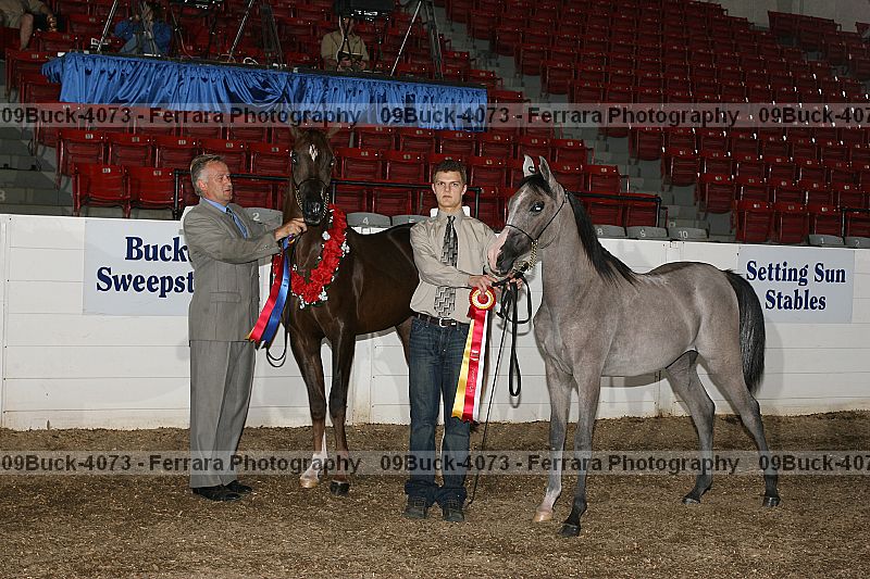 Proof 09buck-4073