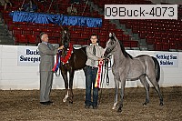 09buck-4073 proof