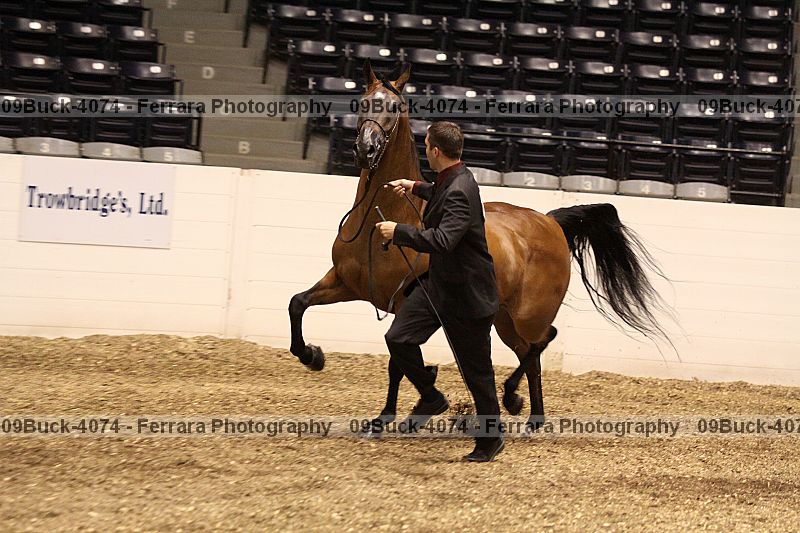 Proof 09buck-4074