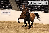 09buck-4074 proof