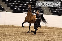 09buck-4075 proof
