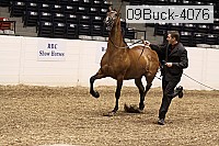 09buck-4076 proof