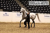 09buck-4078 proof