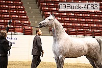 09buck-4083 proof