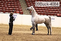 09buck-4084 proof
