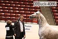 09buck-4086 proof