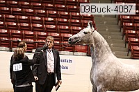 09buck-4087 proof