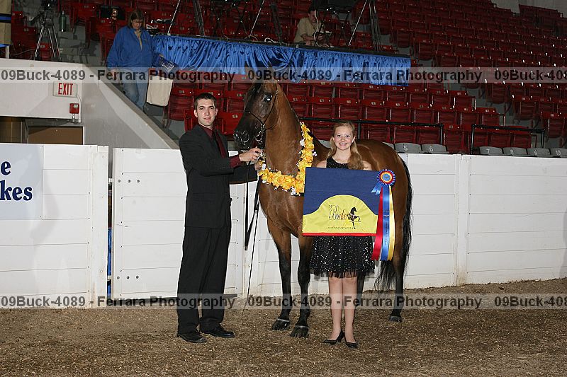 Proof 09buck-4089