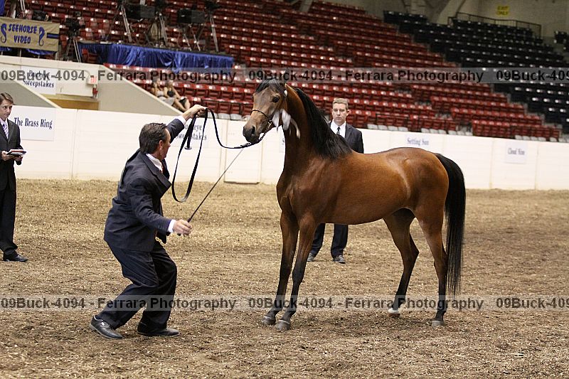 Proof 09buck-4094