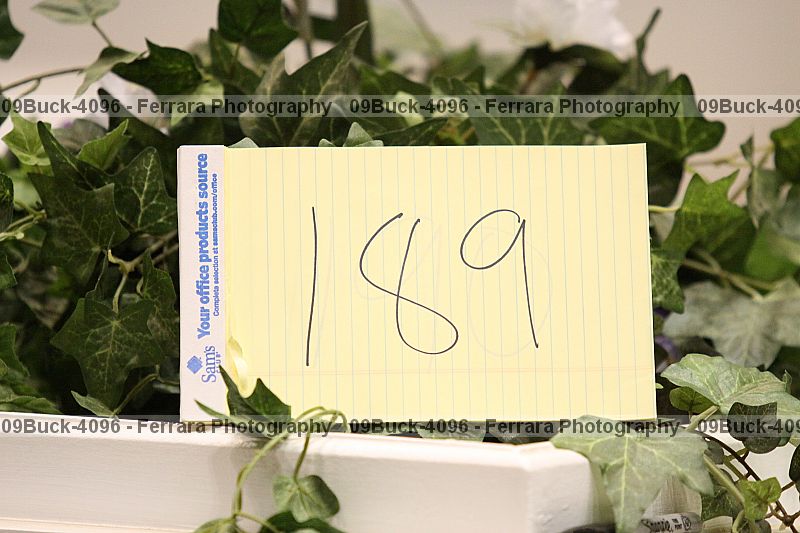 Proof 09buck-4096