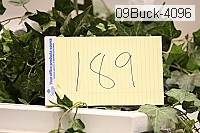 09buck-4096 proof