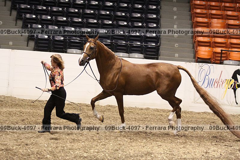 Proof 09buck-4097
