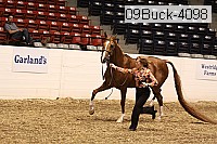 09buck-4098 proof
