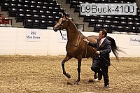 09buck-4100 proof