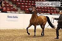 09buck-4102 proof