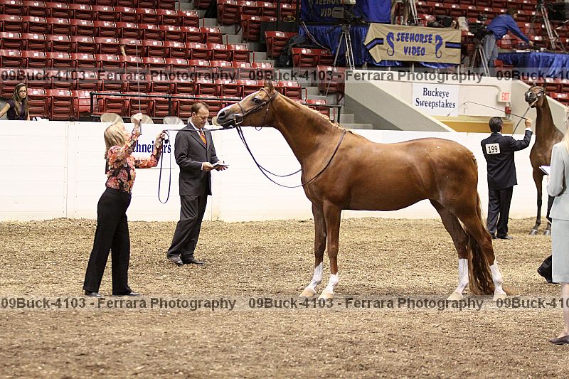 Proof 09buck-4103