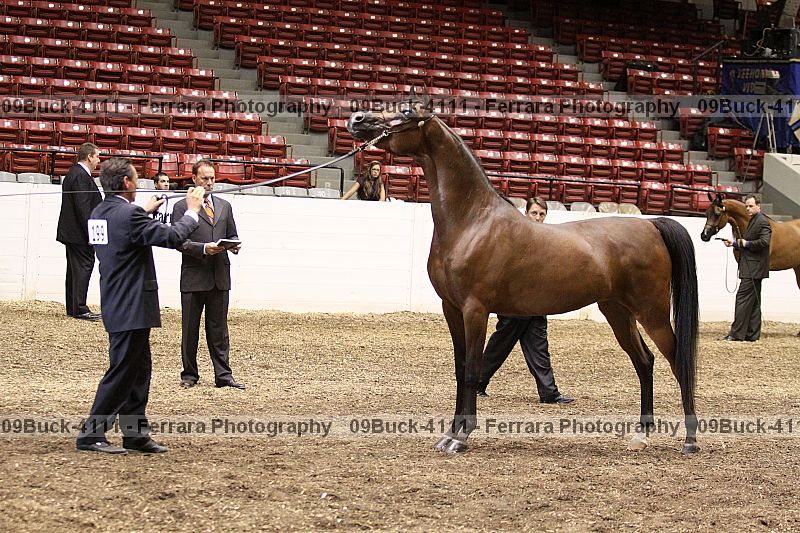 Proof 09buck-4111