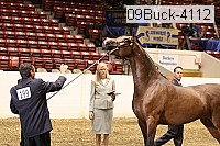 09buck-4112 proof