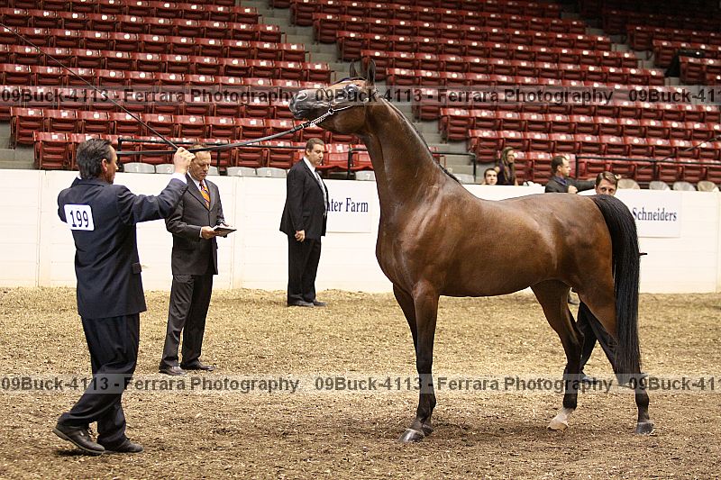 Proof 09buck-4113