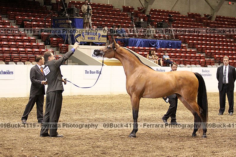 Proof 09buck-4119