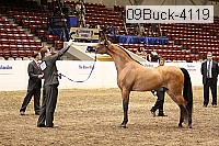 09buck-4119 proof