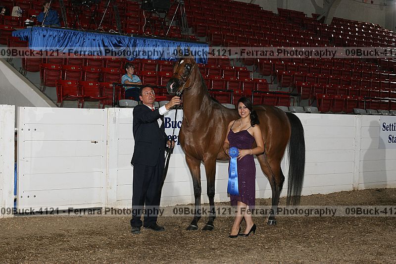 Proof 09buck-4121