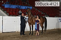 09buck-4121 proof